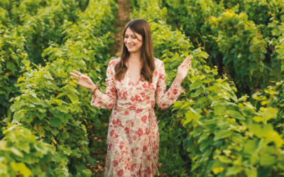 La renaissance du vignoble dijonnais