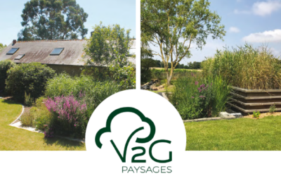 V2G, ET SI L’ASSAINISSEMENT DEVENAIT UN ATOUT ÉCOLOGIQUE POUR SA MAISON ?