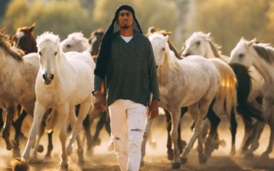 Yassine Cavalier, un Passionné de Chevaux !