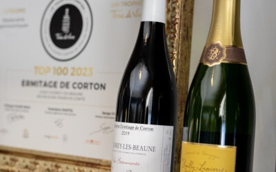 Ermitage de Corton, élu parmi les meilleures cartes de vin de France !