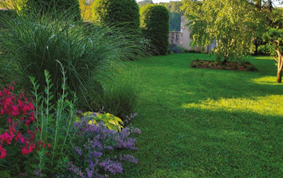 V2G PAYSAGES : PLANTER POUR DEMAIN L’ART DU JARDIN FACE AU CLIMAT QUI CHANGE