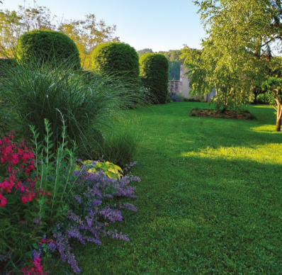 V2G PAYSAGES : PLANTER POUR DEMAIN L’ART DU JARDIN FACE AU CLIMAT QUI CHANGE
