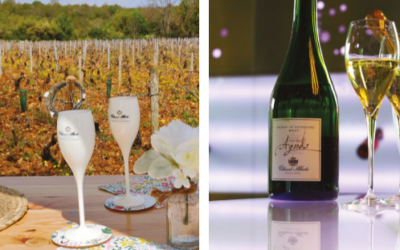 DE LA VIGNE À LA FÊTE, L’ART DES BULLES SELON VITTEAUT-ALBERT I